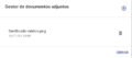 Diálogo gestor de documentos adjuntos con 1 documento.png